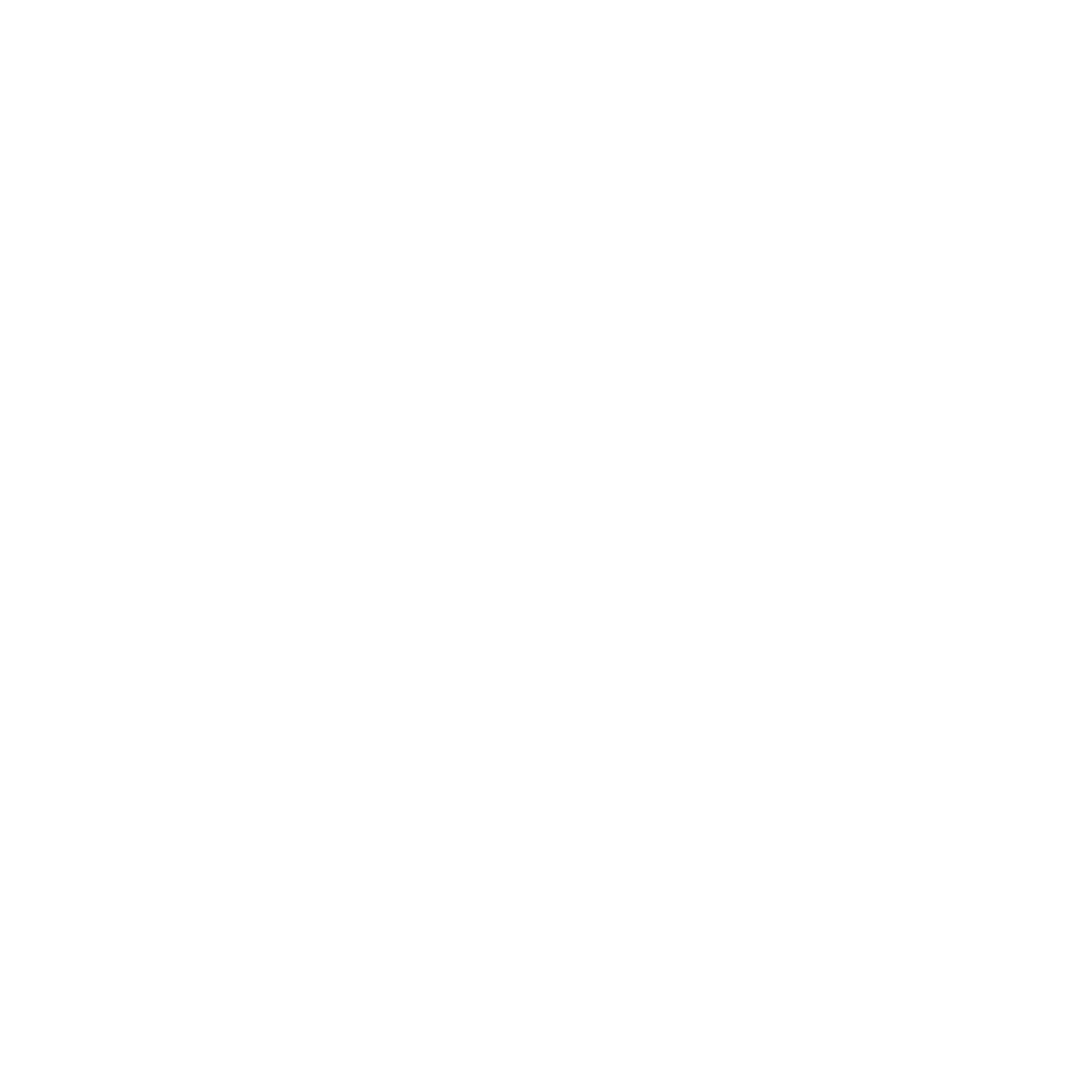 IRFive Logo